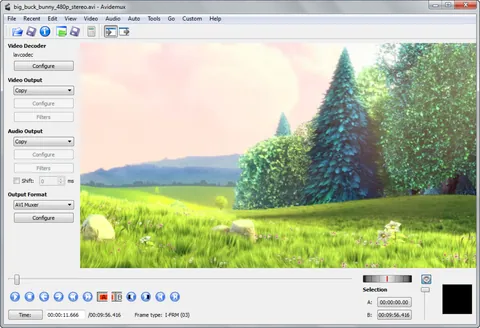 Avidemux: captures de pantalla 1