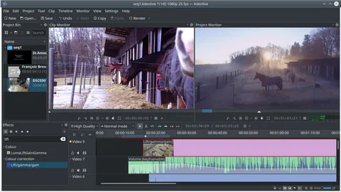 Kdenlive: captures de pantalla 1