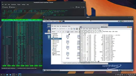 QEMU: ekran görüntüleri 1
