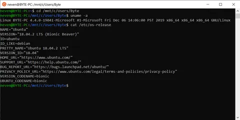 Windows Subsystem for Linux: ეკრანის სურათები 1