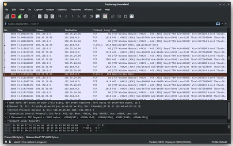Wireshark: captures de pantalla 1